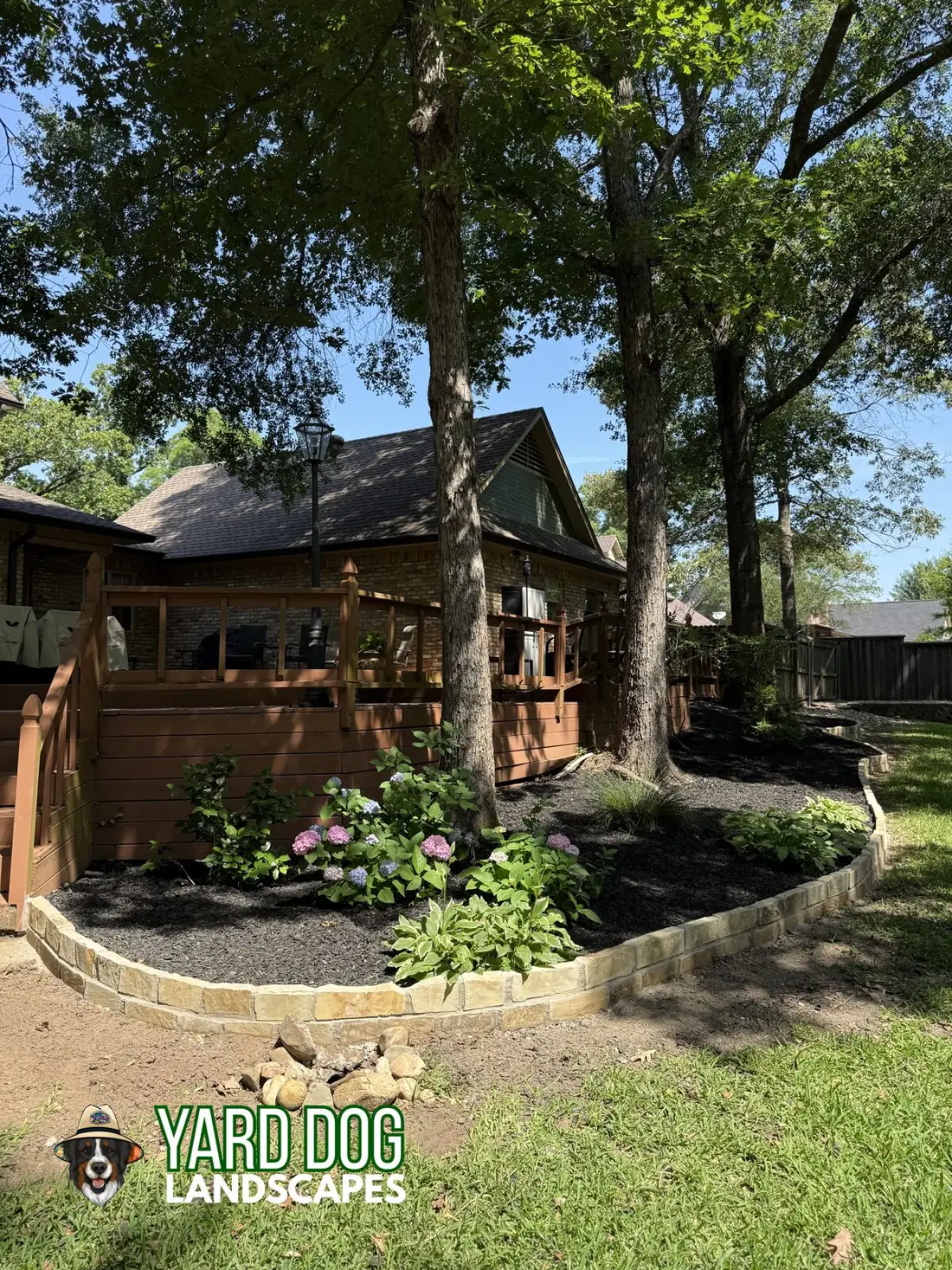 A mulched East Texas foundation bed with established hydrangeas left intact under a mature shade tree, sandstone block edging and fresh black mulch