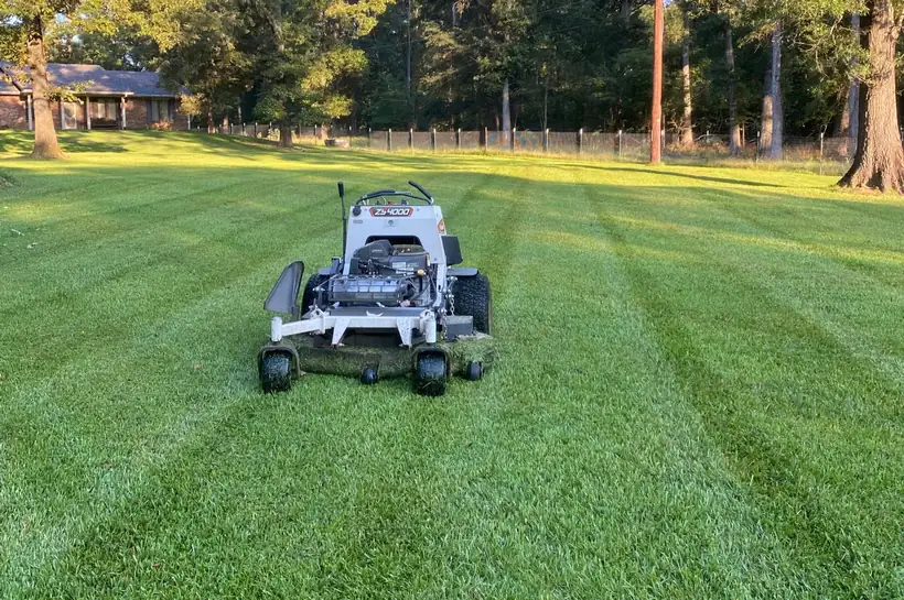 Freshly striped lawn, East Texas