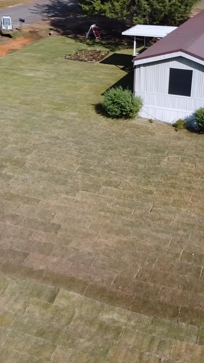 New Bermuda sod across the yard, from above, Longview, TX