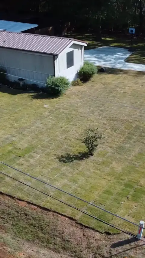 Finished Bermuda lawn with the new sprinkler system, Longview, TX